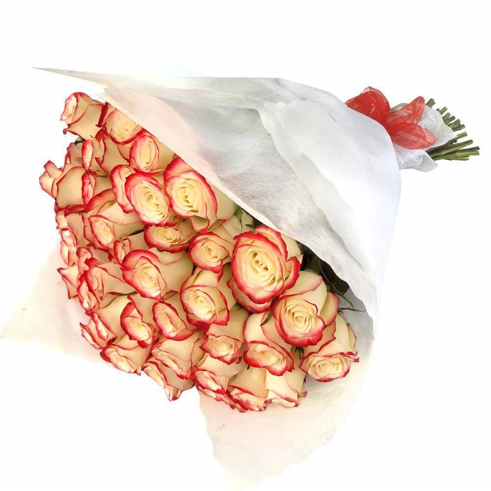 Ramo con 30 rosas, rosas blush (crema con borde rojo)