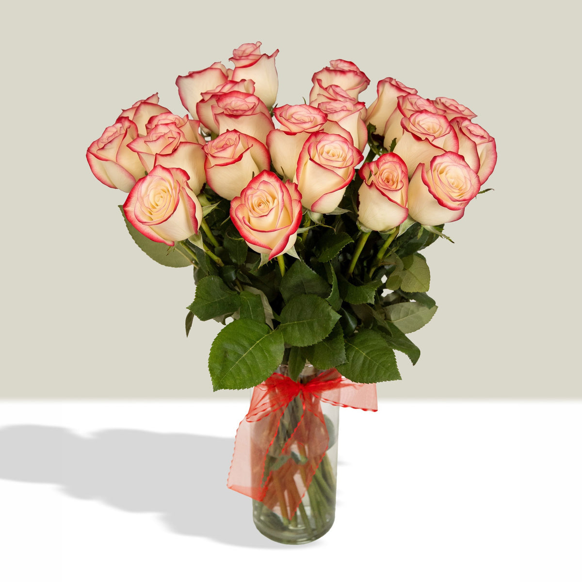 Arreglo con 24 rosas en florero velón con cinta, rosas blush (crema con borde rojo)