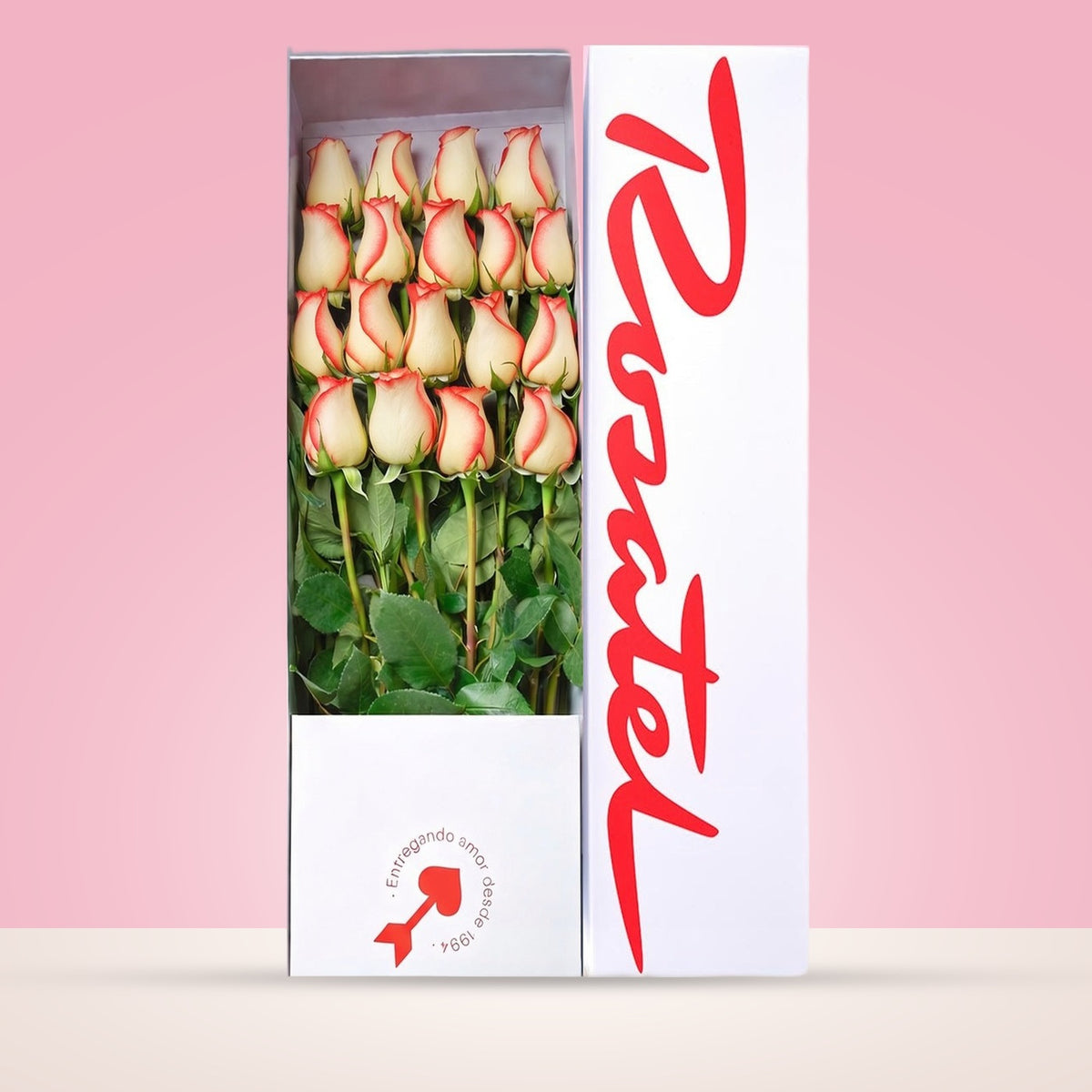 Caja blanca Rosatel con 18 rosas blush
