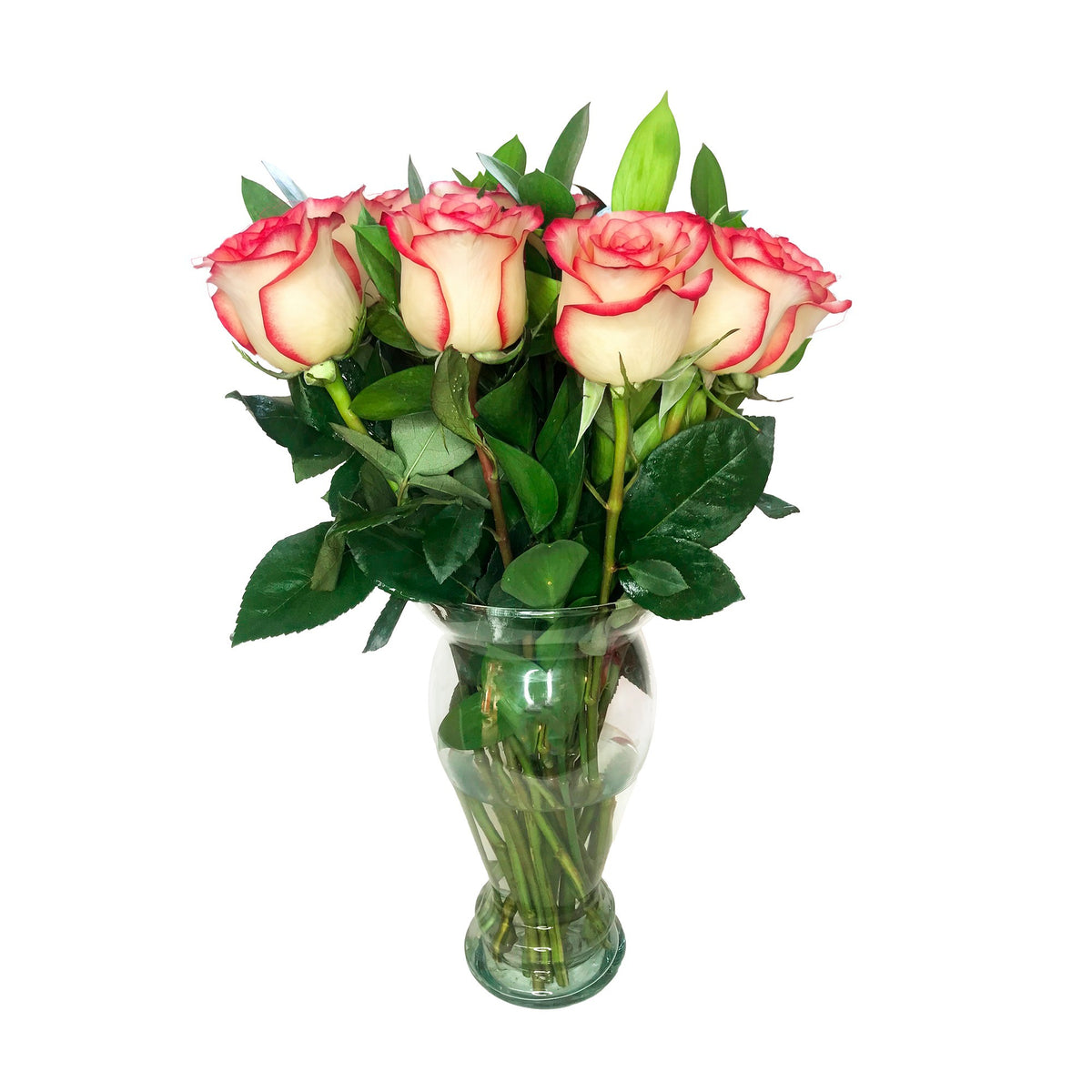 Arreglo con 12 rosas en florero modelo europeo, rosas blush (crema con borde rojo)