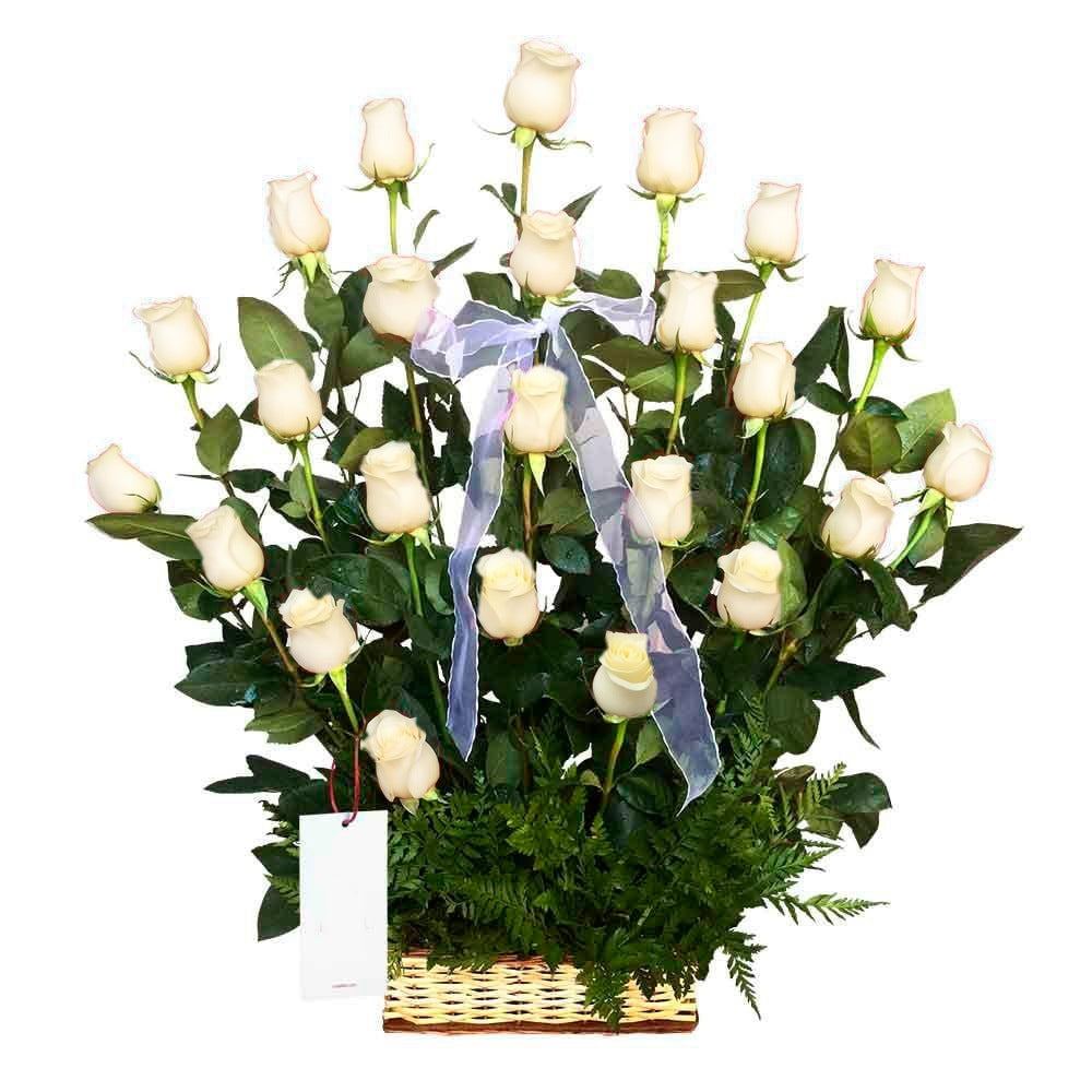 Canasta con 24 rosas y follaje, rosas blancas