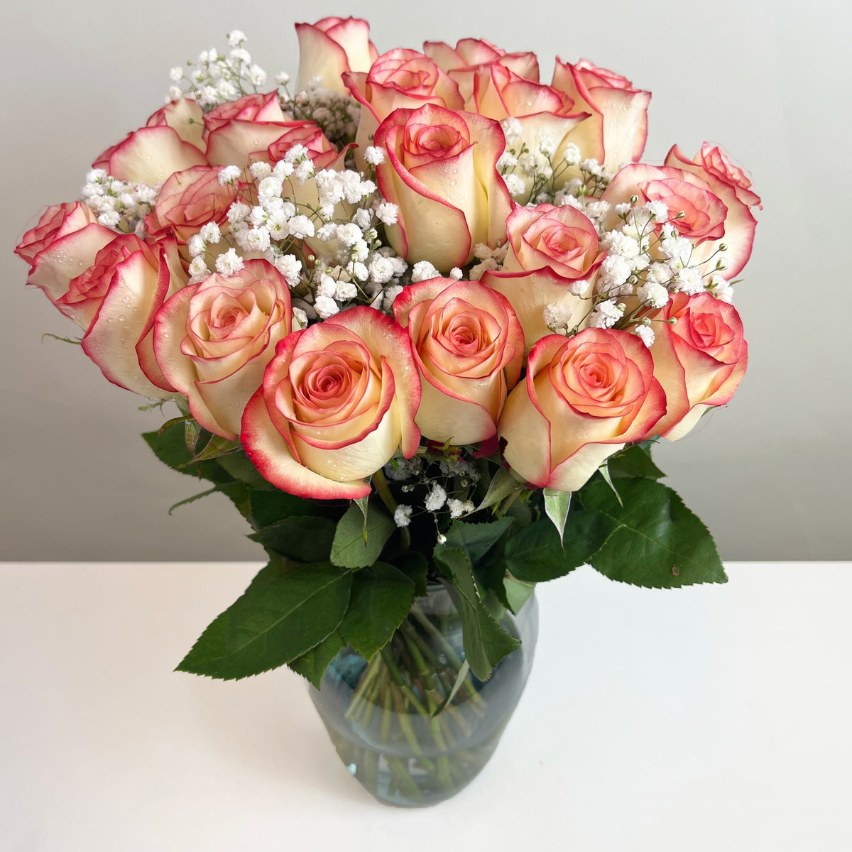 Arreglo con 21 rosas y gypsophila en florero samaritano, rosas blush (crema con borde rojo)