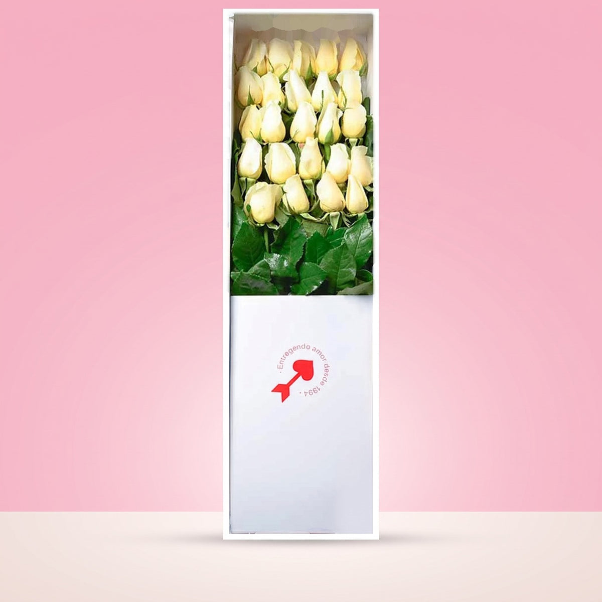 Caja Blanca con 24 Rosas Blancas