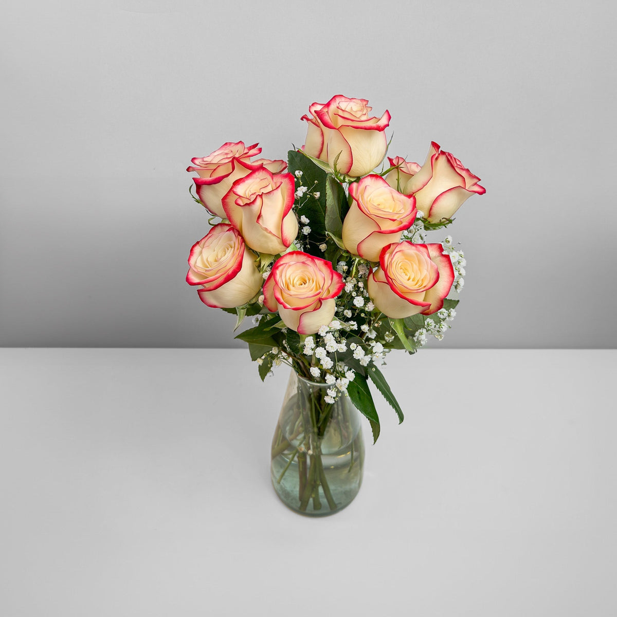 Arreglo con 12 rosas y gypsophila en florero modelo gélida, rosas blush (crema con borde rojo)