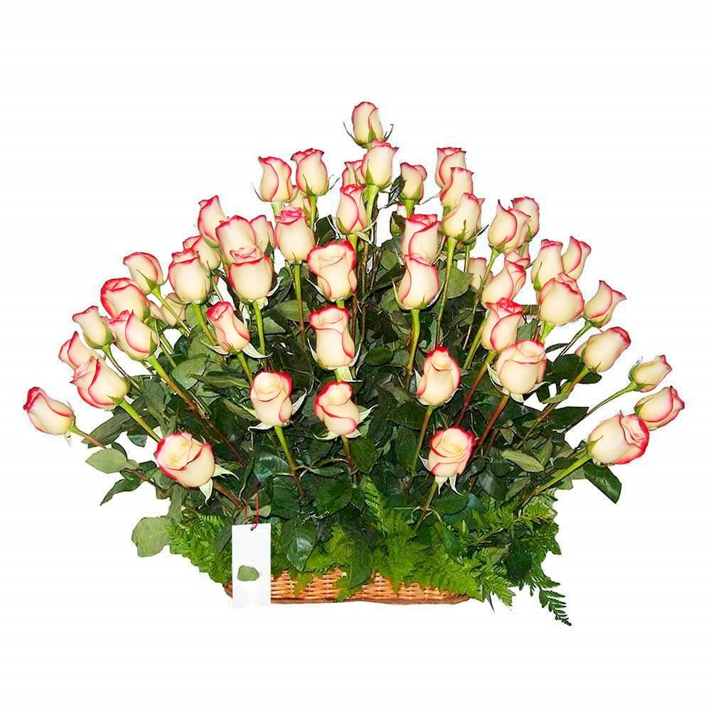 Canasta con 80 rosas, rosas blush (crema con borde rojo)