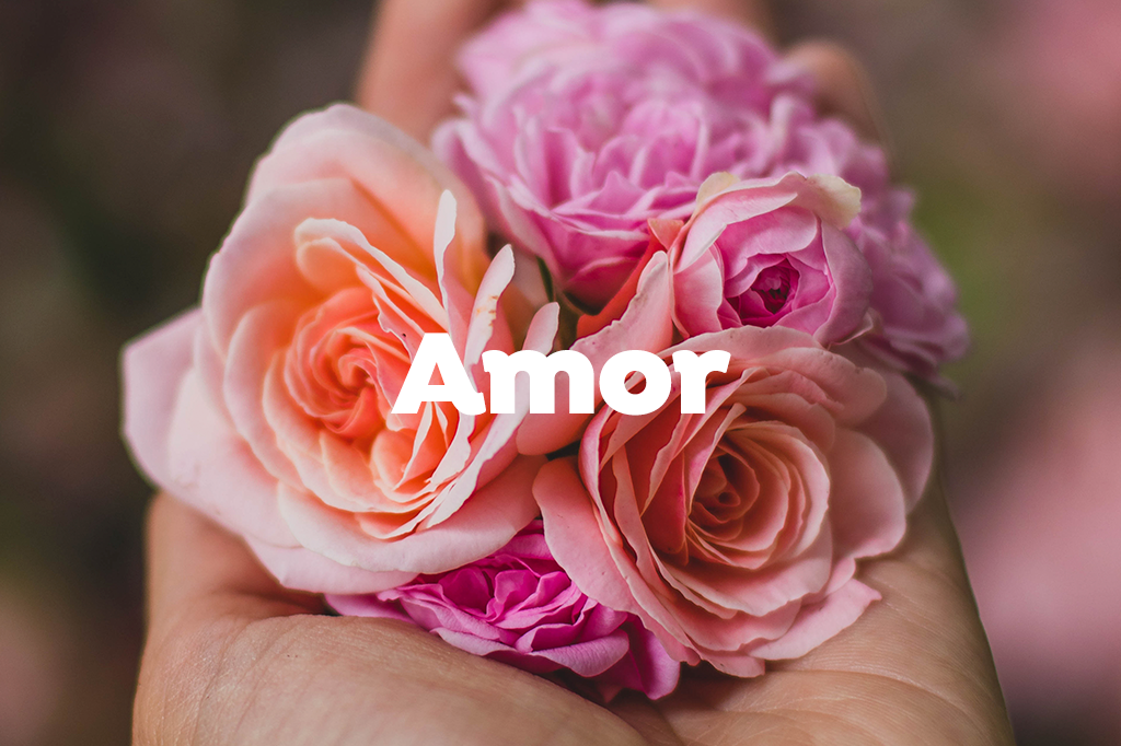 Arreglos Florales para Enamorar