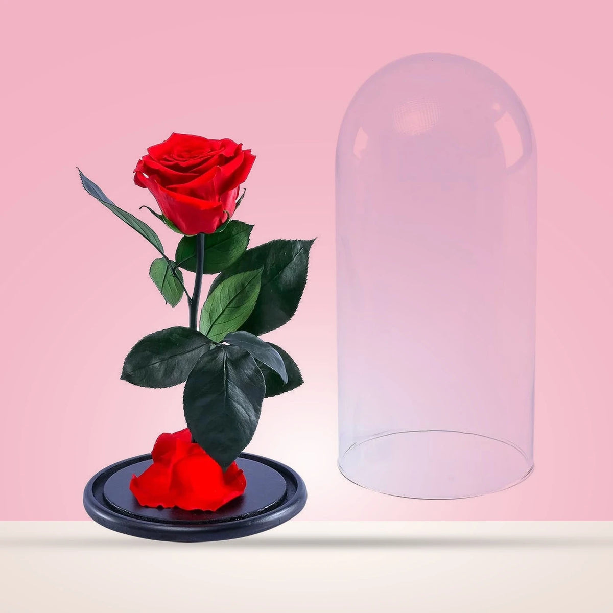 Rosa encantada roja preservada con su cúpula de vidrio