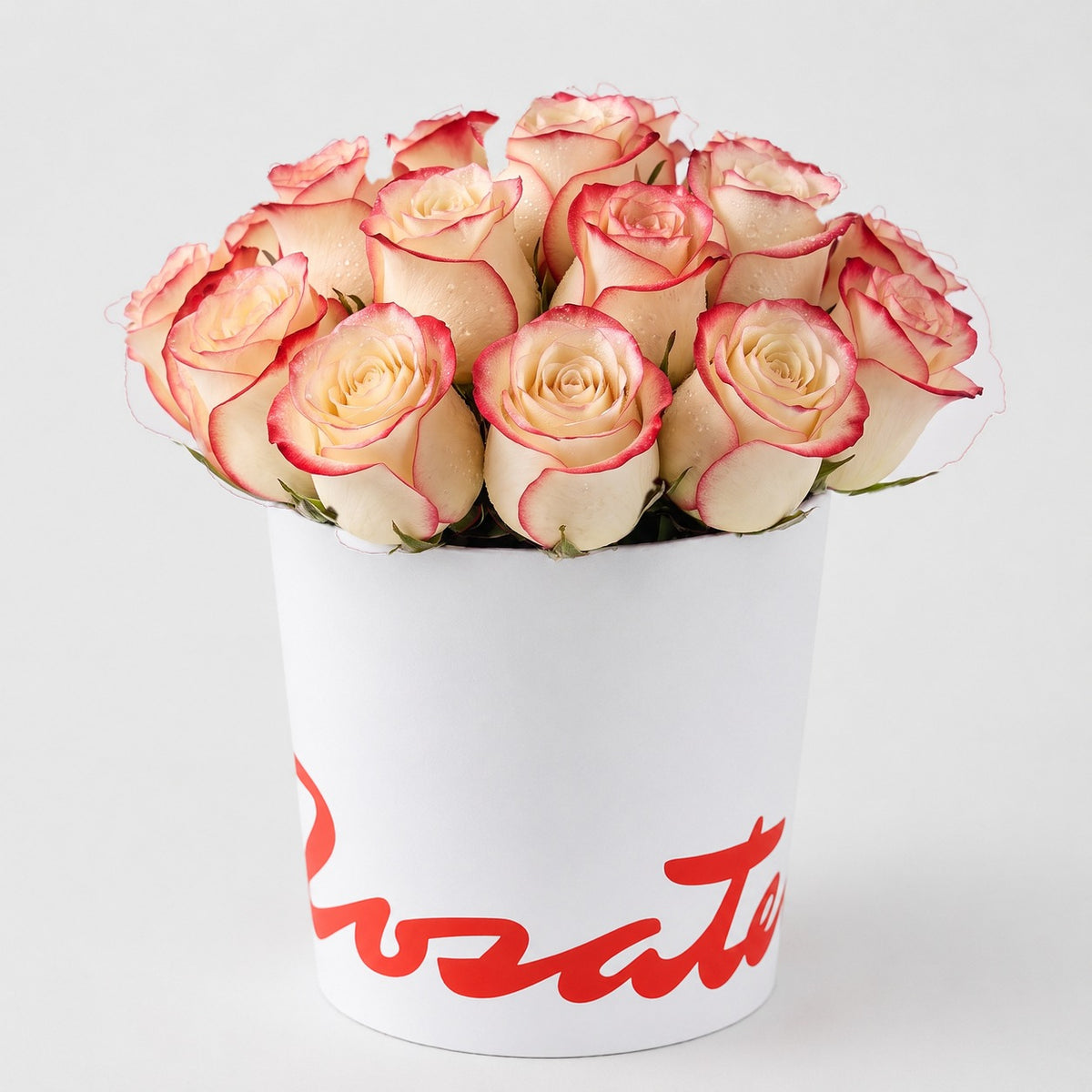 Sombrerera blanca mediana con 15 rosas, rosas blush (crema con borde rojo)