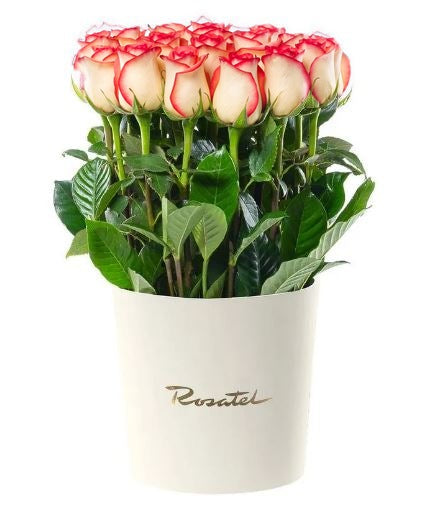 Sombrerera crema grande con 25 rosas y follaje, rosas blush (crema con borde rojo)