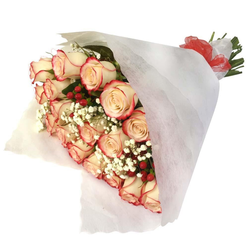 Ramo con 25 rosas y gypsophila, rosas blush (crema con borde rojo)
