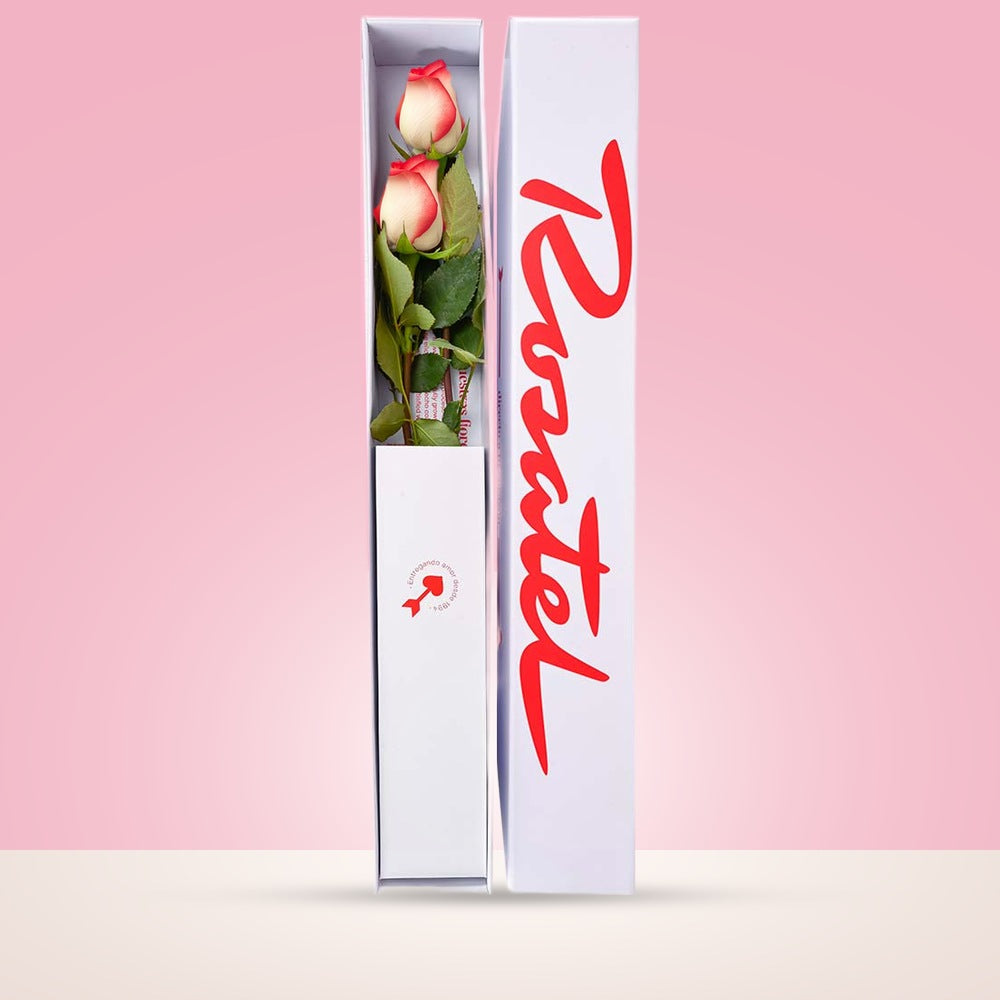 Caja Blanca Pequeña con 2 Rosas Blush