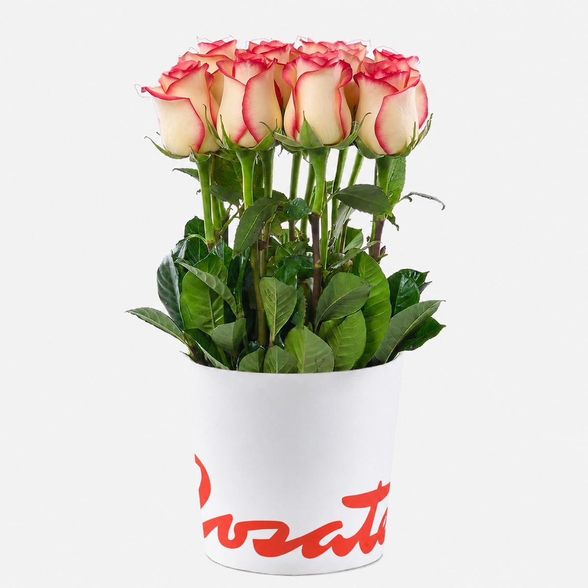Sombrerera blanca mediana con 15 rosas y follaje, rosas blush (crema con borde rojo)