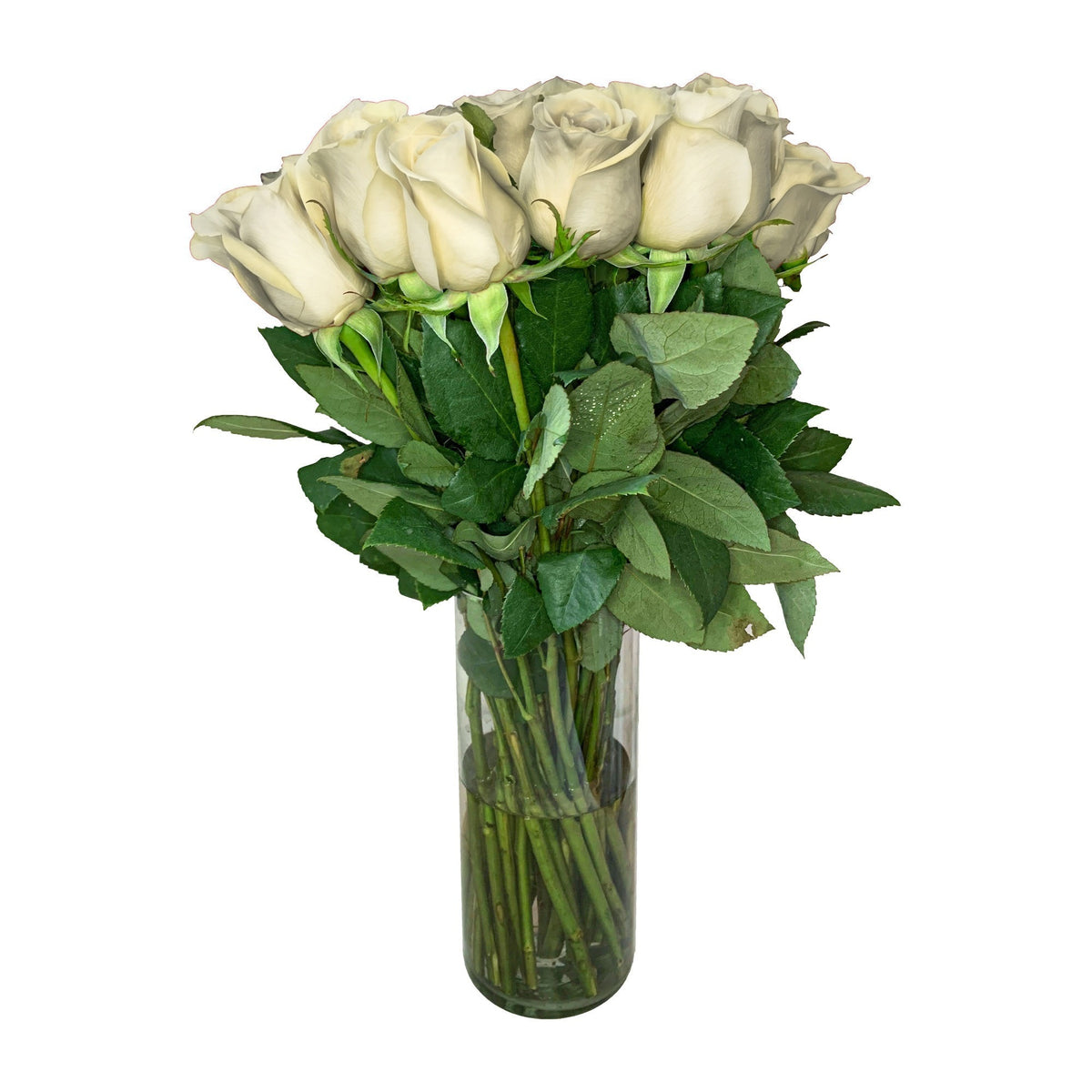 Arreglo con 36 rosas en florero velón, rosas blancas