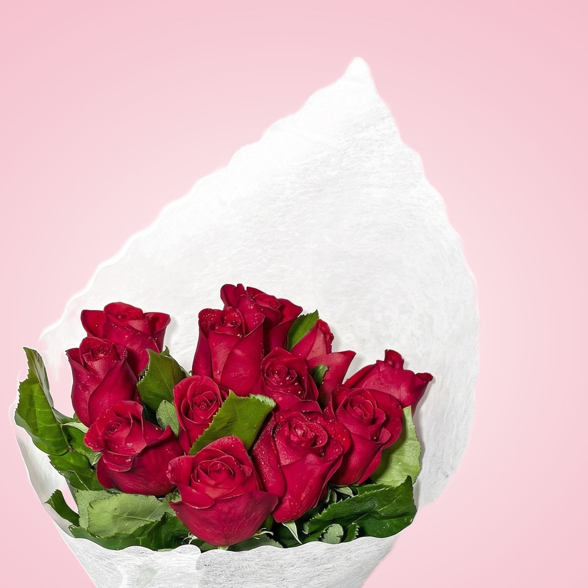 Ramo con 12 rosas rojas