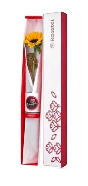 Caja blanca pequeña con 1 girasol y boligrafo osito