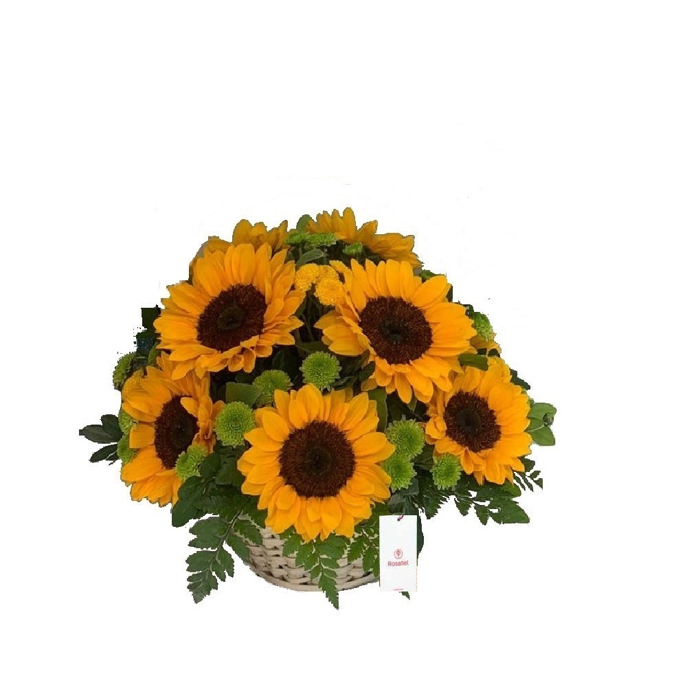 Canasta 12 girasoles