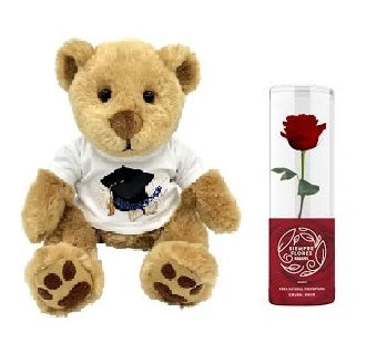 Hugo mediano felicitaciones y rosa short preservada roja