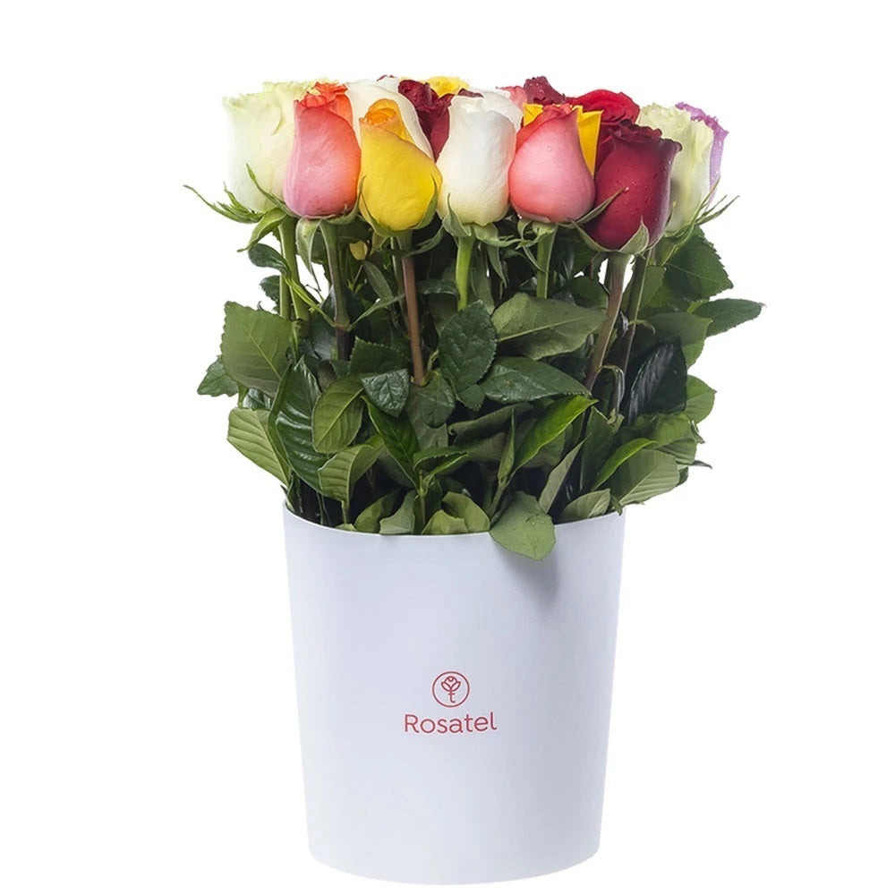Sombrerera blanca grande con 25 rosas variadas