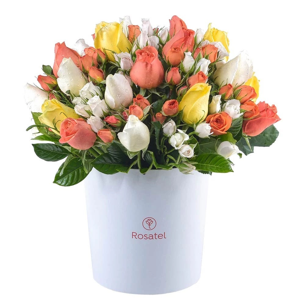 Sombrerera 20 rosas de colores y minirosas