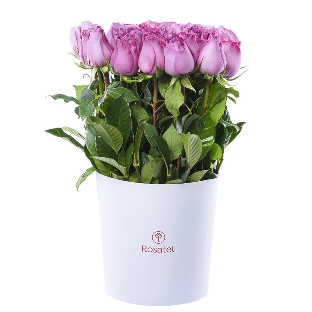 Sombrerera Blanca 25 rosas lila