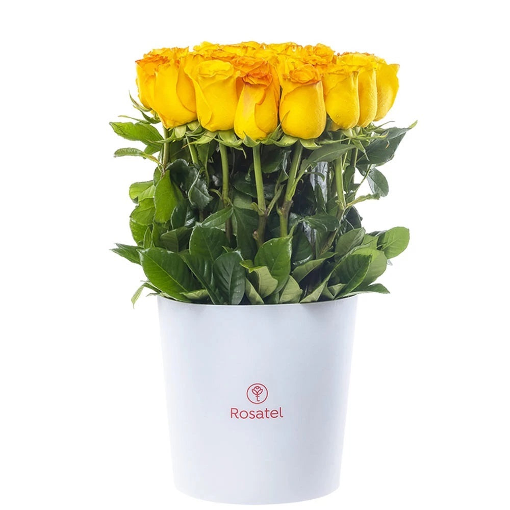 Sombrerera blanca grande 25 rosas amarillas