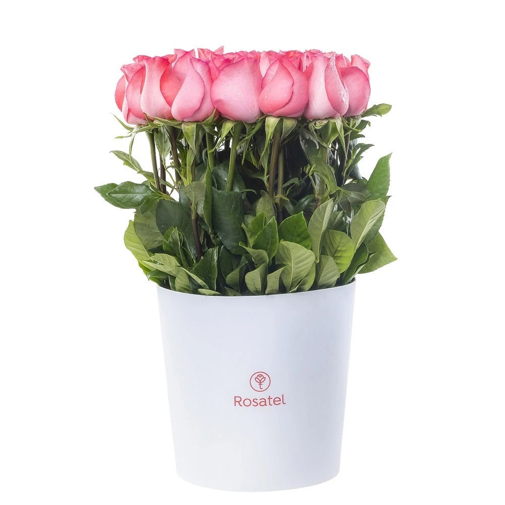 Sombrerera blanca 25 rosas rosadas