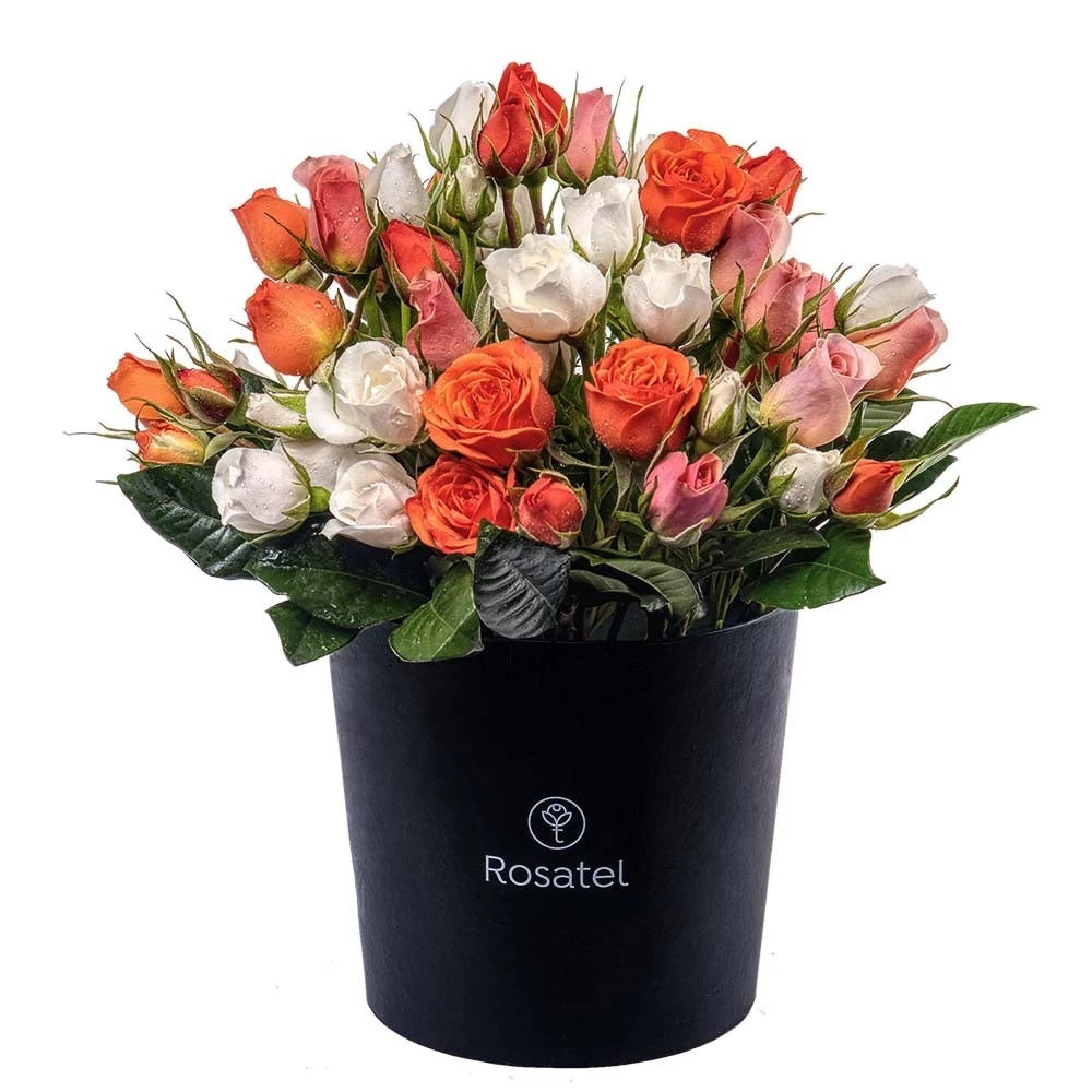 Sombrerera negra grande 20 mini rosas