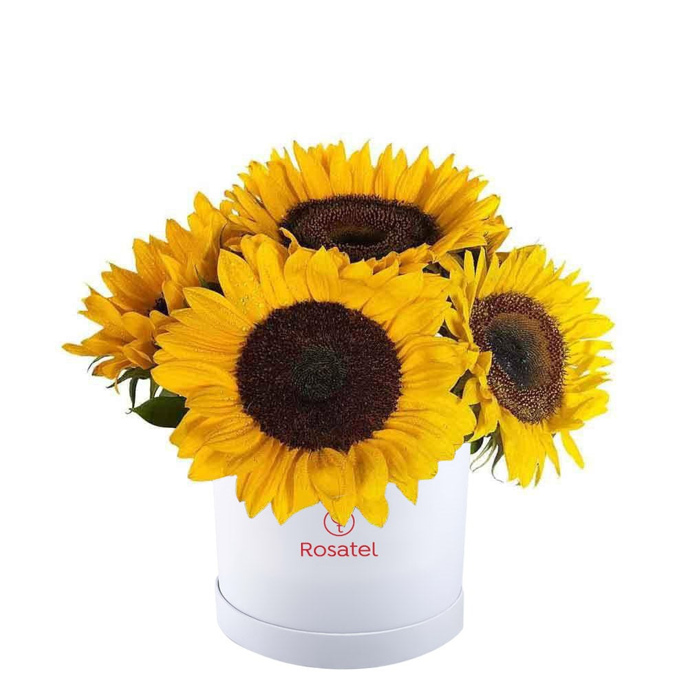 Sombrerera blanca 6 girasoles