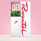 Caja blanca Rosatel con 12 rosas rosadas