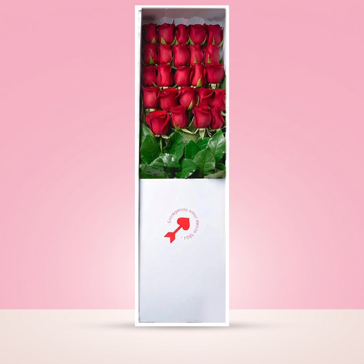 Caja Blanca con 24 Rosas Rojas