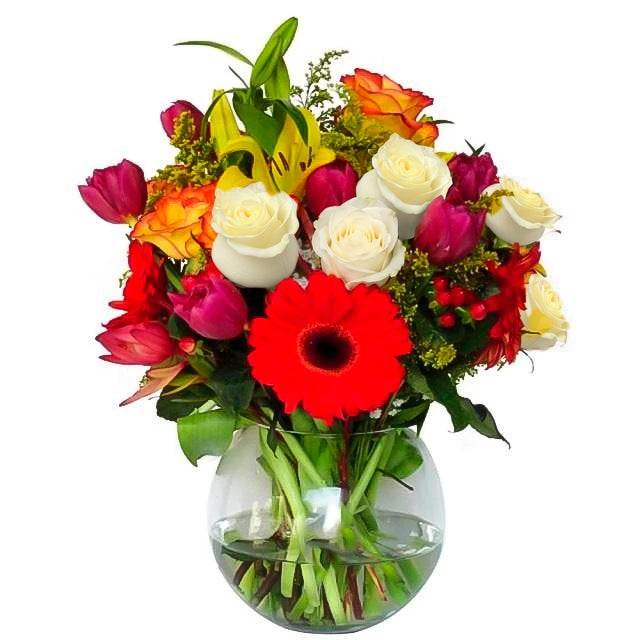 Arreglo con 10 rosas, 10 tulipanes y flores en pecera grande, rosas blancas