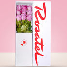 Caja Blanca con 9 Rosas Lila