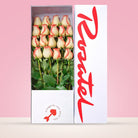 Caja blanca Rosatel con 18 rosas blush
