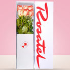 Caja Blanca con 6 Rosas Blush