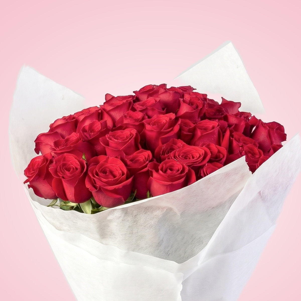 Ramo con 30 rosas, detalle de las flores