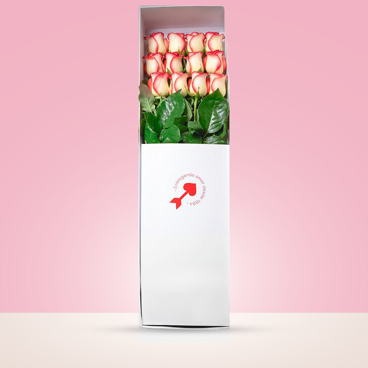 Caja blanca Rosatel con 12 rosas blush