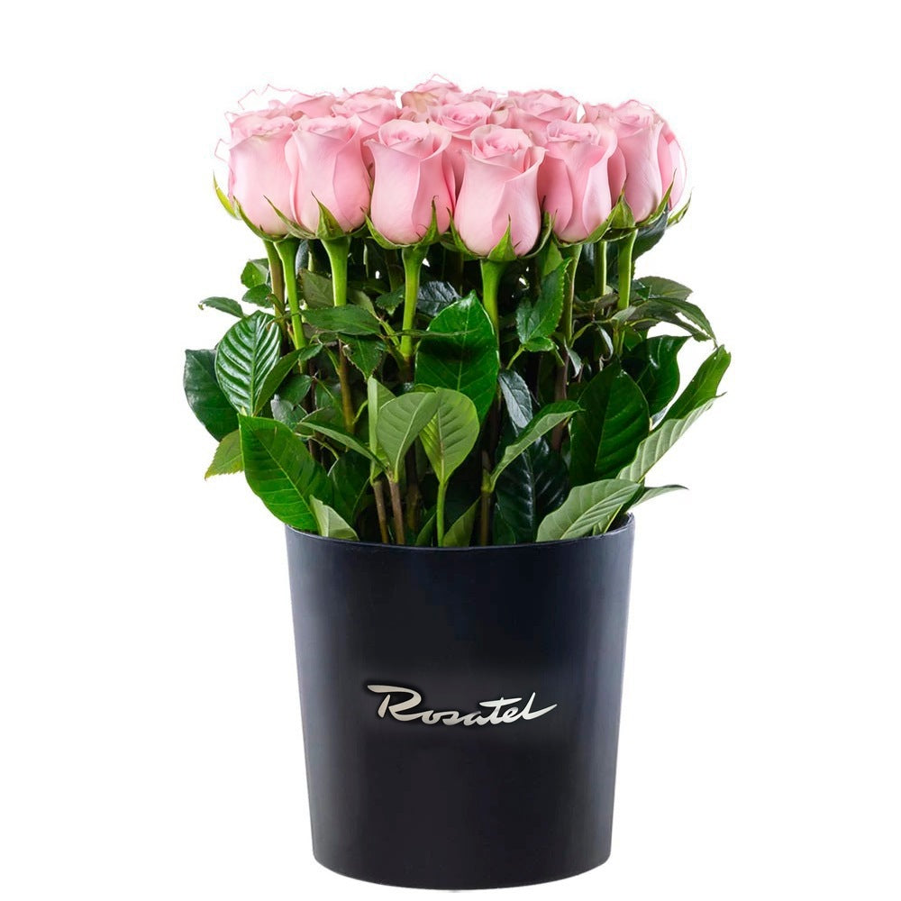 Sombrerera negra grande con 25 rosas, rosas rosadas