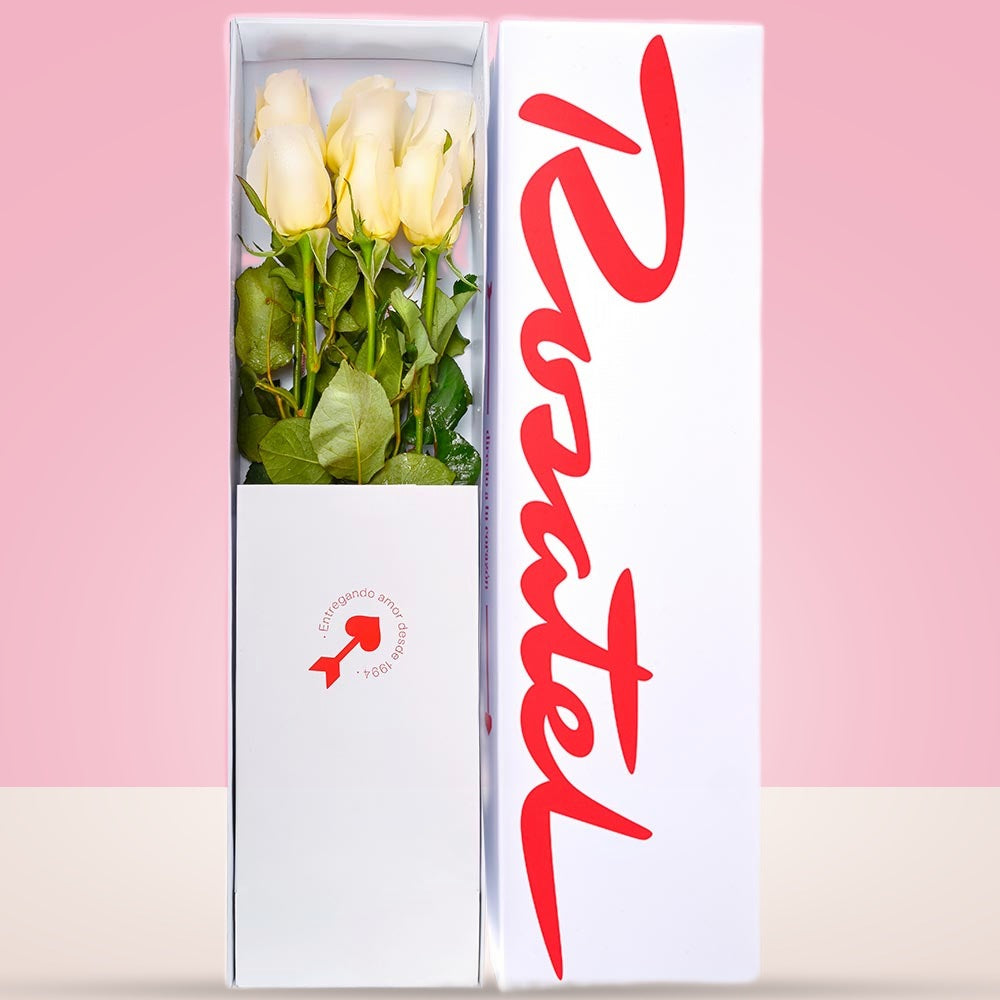 Caja Blanca con 6 Rosas Blancas