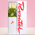 Caja Blanca con 6 Rosas Blancas