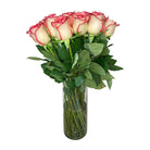Arreglo con 36 rosas en florero velón, rosas blush (crema con borde rojo)