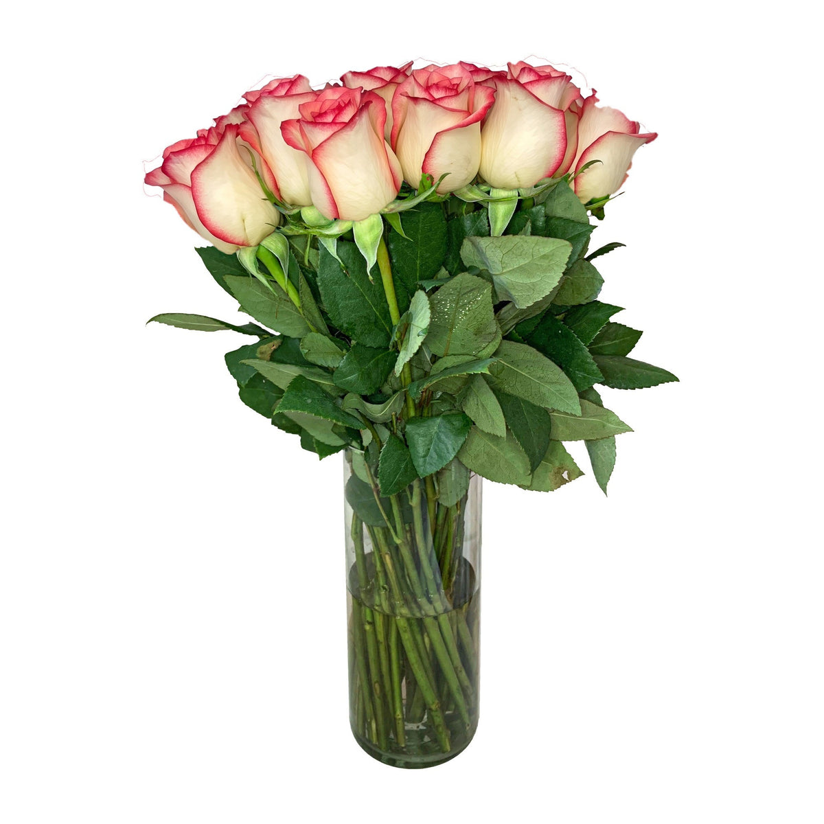 Arreglo con 36 rosas en florero velón, rosas blush (crema con borde rojo)
