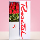 Caja Blanca con 9 Rosas Rojas