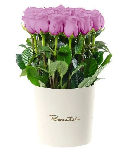 Sombrerera crema grande con 25 rosas y follaje, rosas lila