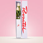 Caja Blanca Pequeña con 2 Rosas Blanca