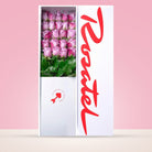 Caja Blanca con 24 Rosas Lila