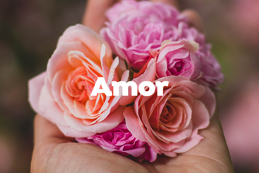 Arreglos Florales para Enamorar