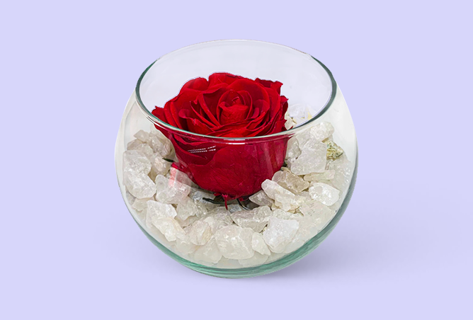 Rosas Preservadas