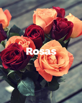 Arreglos con Rosas