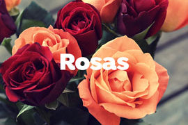 Arreglos con Rosas