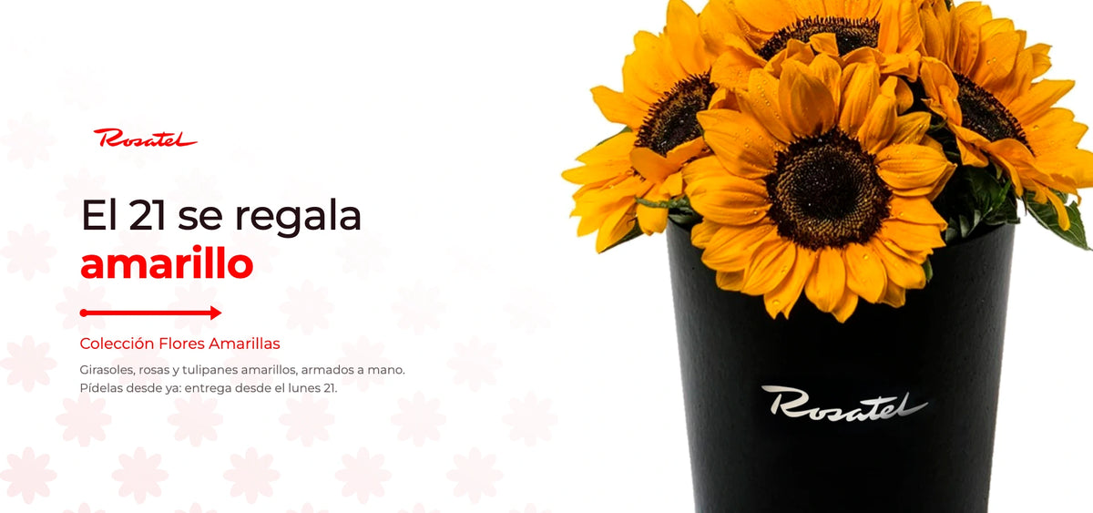 El 21 se regala amarillo - girasoles Coleccion Flores Amarillas